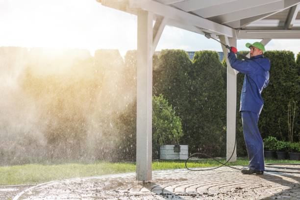 Best Roof Washing  in Spring Valley Lake, CA