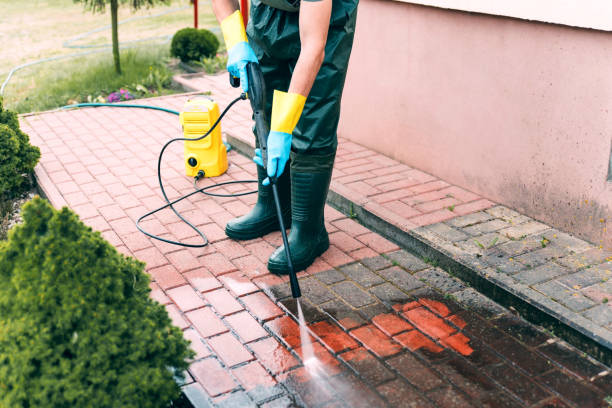 Best Fence Cleaning  in Spring Valley Lake, CA